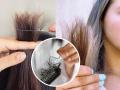 केस कोरडे होऊन केसांना फाटे फुटले? 5 उपाय, केस होतील मऊ- मुलायम  - Marathi News | 5 Home remedies for dry hair, 5 Solutions for split hair | Latest sakhi News at Lokmat.com