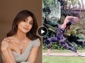 शिल्पा शेट्टी सांगते शरीर- मन फिट ठेवण्यासाठी ३ योगासनं, बघा कशी करायची - Marathi News | Shilpa Shetty suggests 3 yoga poses for the fitness of body and mind too | Latest sakhi News at Lokmat.com