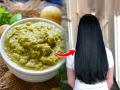 Amla For Hair Growth : सतत गळतात, केसांचा झाडू झालाय? आवळ्याचा 'असा' वापर करा, केस वाढतील भराभर - Marathi News | How To Use Amla For Hair Growth : Simple ways to reverse hair loss with amla | Latest sakhi Photos at Lokmat.com