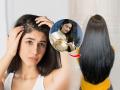 White Hairs Solution : कमी वयात केस फार पिकलेत? तेलात 'हा' पदार्थ मिसळून लावा; डाय न लावता केस होतील काळे - Marathi News | White Hairs Solution : How to get rid of white hair balon ko natural dhung se kaise karein kala | Latest sakhi Photos at Lokmat.com