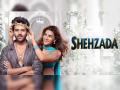 'पठाण'ला टक्कर देण्यासाठी 'शहजादा'सज्ज; 110 रुपयांच्या ऑफरला 'बाय वन गेट वन'ची कार्तिकची घोषणा - Marathi News | Kartik aaryan announce one ticket free on purchase of another shehzada box office opening collection | Latest filmy News at Lokmat.com