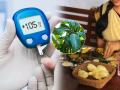 आंब्याची पाने खाल्ल्याने शुगर नियंत्रणात येते हे खरे की खोटे? - Marathi News | Diabetes: These Leaves Can Lower Your Blood Sugar Levels Effectively; Learn How To Use Them | Latest sakhi News at Lokmat.com
