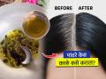 केस फारच लवकर पिकले? डायची गरजच नाही; हे जादूई तेल लावून झटपट मिळवा काळे केस - Marathi News | How to Get Black Hair Naturally : Natural Home Remedies For Grey Hair | Latest sakhi News at Lokmat.com