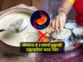 जेवताना दही खाताय? 3 पदार्थांसह चुकूनही करू नका दह्याचे सेवन, तब्येत कधीही बिघडेल - Marathi News | 3 foods never eat with curd that can produce toxins in the body according ayurveda expert | Latest sakhi News at Lokmat.com