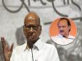 Sharad Pawar: अजित पवार गैरहजर, नाराज आहेत का? शरद पवार यांनी स्पष्टच सांगितलं - Marathi News | Maharashtra Politics Is Ajit Pawar absent, upset? Sharad Pawar clearly said | Latest mumbai News at Lokmat.com