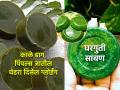 पिंपल्स, काळ्या डागांनी चेहरा खराब झालाय? ३ वस्तूंपासून बनवा खास साबण; त्वचा दिसेल ग्लोईंग - Marathi News | How To Make Neem Soap at home : Neem Soap for skin benefits and skin care tips | Latest sakhi News at Lokmat.com