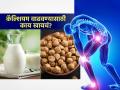 भरपूर कॅल्शियम देणारे ५ पदार्थ, म्हातारपणाही हाडं कायम राहतील ठणठणीत-मजबूत - Marathi News | Best calcium sources for vegetarians : Calcium-rich foods for vegetarians | Latest sakhi News at Lokmat.com