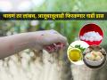 पावसाळ्यात रात्री घरभर डास फिरतात-चावतात कडकडून? ५ सोपे उपाय- डास राहतील घराबाहेर - Marathi News | How to get rid from mosquito at home : Home remedies for get rid from mosquito | Latest sakhi News at Lokmat.com