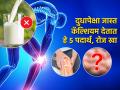 शरीरातील २०६ हाडांना भरभरून कॅल्शियम देतील हे ५ पदार्थ; मसल्स-हाडं कायम राहतील चांगली - Marathi News | Calcium rich foods : 5 Food Sources Of Calcium For Your Bones | Latest sakhi News at Lokmat.com