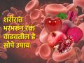 शरीरात रक्त कमी झालं? हिमोग्लोबीन वाढवणारे ५ पदार्थ; रोज खा-थकवा घालवा - Marathi News | Food For Hemoglobin : Foods That May Help Increase Haemoglobin | Latest sakhi News at Lokmat.com