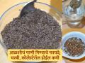पोटावरची चरबी वाढलीये? उपाशी पोटी अळशीचं पाणी प्या, पोट आणि कोलेस्टेरॉलही होईल कमी - Marathi News | Health Benefits Of Drinking Flaxseed Water Every Morning : Flax Seeds for Weight Loss | Latest sakhi News at Lokmat.com
