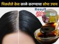 वय कमी पण केस खूपच पिकलेत? ५ उपाय, डाय न लावता केस होतील काळेभोर-राहतील दाट - Marathi News | How to blacken white hair naturally : Home Remedies For Darken Grey Hair Natural Home Remedies For Grey Hair | Latest sakhi News at Lokmat.com