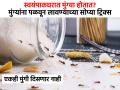 किचनमध्ये मुंग्यांचा सुळसुळाट झालाय? ४ ट्रिक्स, घरात मुंग्या-माश्या अजिबात दिसणार नाही - Marathi News | How to get rid from ants in kitchen : Safe Ways to Kill Ants in Your Home Without Toxic | Latest sakhi News at Lokmat.com