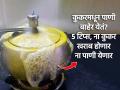कुकरची शिट्टी होताच पाणी बाहेर येतं? ५ टिप्स, ना गॅस खराब होणार ना कुकर- वेळही वाचेल - Marathi News | Kitchen hacks : Tips To Fix The Pressure Cooker Leaking Steam Issue | Latest sakhi Photos at Lokmat.com