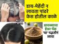 केस फार पिकलेत? हेअर डाय-कलरची गरजच नाही; १ उपाय- काळ्या केसांसाठी असरदार - Marathi News | Simple Ways to Prevent Gray Hair : How to get blach hairs naturally using Amla | Latest sakhi News at Lokmat.com
