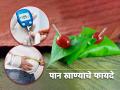 Health Tips:रोज एक पान खा, वजन आणि मधुमेह करा; वाचा जेवणानंतर विडा खाण्याचे फायदे! - Marathi News | Health Tips: Eat a leaf daily, lose weight and diabetes; Read Benefits of Eating Vida After Meal! | Latest health Photos at Lokmat.com