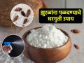 किचनमध्ये बारीक झुरळांचा सुळसुळाट झालाय? ५ सोपे उपाय, घरात एकही झुरळ दिसणार नाही - Marathi News | How to Get Rid From Cockroaches : How to Get Rid of Cockroaches Using Home Remedies | Latest sakhi News at Lokmat.com