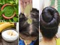 केस गळून गळून टक्कल पडेल असं वाटतंय? ४ हेअर पॅक घरीच बनवा- केस वाढतील दाट आणि लांब - Marathi News | Homemade Hair Mask for Hair Fall Control : Hair Mask for Fast Hair Growth | Latest sakhi News at Lokmat.com