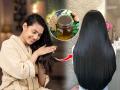 केसांचं नैसर्गिक सौंदर्य हरवलं ? केसांना लावा ४ प्रकारचे तेल, केस दिसतील काळेभोर - घनदाट.. - Marathi News | Apply 4 types of oil on hair for faster hair growth. | Latest sakhi News at Lokmat.com