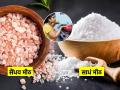 रोज स्वयंपाकात कोणतं मीठ वापरता? साधं मीठ की सैधव मीठ; कोणतं जास्त फायदेशीर - Marathi News | Which Salt Should be Used In Food Common Or Rock Salt : Why you should not replace iodised salt with rock salt | Latest sakhi News at Lokmat.com