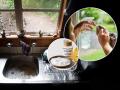 तेल-धुरामुळे किचनच्या खिडक्या कळकट-मेणचट झाल्या? बेकिंग सोड्याचा सोपा उपाय, खिडक्या चकाचक चमकतील - Marathi News | How to Clean Kitchen Window with the help of Baking Soda | Latest sakhi News at Lokmat.com