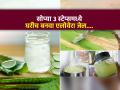 घरच्याघरी १००% शुद्ध कोरफड जेल बनवायची सोपी कृती, ३ स्टेप्स - महागड्या जेलची गरजच नाही... - Marathi News | How to Make Aloe Vera Gel At Home, Make Your Own Aloe Vera Gel At Home In Just 5 minutes. | Latest sakhi News at Lokmat.com