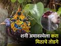 Sarva PItru Amavasya 2023: सर्वपित्री तसेच शनी अमावस्येला मिठाचा तोडगा करा आणि शनिदोषातून मुक्ती मिळवा! - Marathi News | Sarva PItru Amavasya 2023: Do salt solution on Sarvapitri as well as Shani Amavasya and get rid of Shanidosha! | Latest bhakti News at Lokmat.com