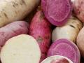 Five potential health benefits of Sweet Potatoes - Hindi News | Five potential health benefits of Sweet Potatoes | Latest health Photos at Lokmattimes.com