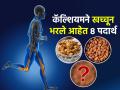 दूध न पिता कॅल्शियम कसं मिळेल? दुप्पट कॅल्शियम असलेले ८ पदार्थ खा-२०६ हाडं होतील मजबूत - Marathi News | World Osteoporosis Day : Foods that gives you strong bones more than milk high in calcium foods | Latest sakhi News at Lokmat.com