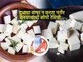 दुधाचा वापर न करता पनीर बनवण्याची सोपी रेसिपी, आता घरच्या घरीच झटपट बनवा पनीर... - Marathi News | How to make Paneer without Milk, No Dairy Product Vegan paneer | Latest sakhi News at Lokmat.com