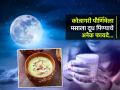 कोजागरीला मसाला दूध पिण्याचे ५ फायदे, परंपरेत आहेत आरोग्याचे खास वरदान, मनही होईल शांत... - Marathi News | 5 benefits of drinking masala milk to Kojagari, health benefits of masala milk | Latest sakhi News at Lokmat.com