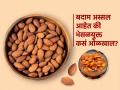 बदाम विकत घेताना ४ गोष्टी तपासा; नकली आणि उत्तम क्वालिटीच्या बदामातला फरक लगेच कळेल - Marathi News | How to Identify Real and Fake Dry Almonds : Tips And Tricks To Identify Real And Fake Dry Fruits | Latest sakhi News at Lokmat.com