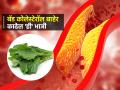 आठवड्यातून एकदा 'ही' भाजी खा; नसांमध्ये साचलेलं कोलेस्टेरॉल होईल कमी-हृदय राहील निरोगी - Marathi News | Vegetable for Cholesterol : Best Vegetable Leaves to Chew That Help Lower Cholesterol in body | Latest sakhi News at Lokmat.com