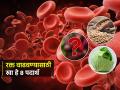 रक्त कमी झालंय-सतत थकवा येतो? ८ पदार्थ खा, हिमोग्लोबीन भरपूर वाढेल-चेहऱ्यावर येईल तेज - Marathi News | How to Increase Your Red Blood Cell Count : Best Foods to Increase Blood Flow Circulation | Latest sakhi News at Lokmat.com