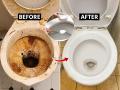 हात न लावता टॉयलेट साफ करायचंय? १ चमचा 'ही' पावडर घाला-टॉयलेट होईल नव्यासारखं-क्लिन - Marathi News | Toilet Cleaning Tips Without Using Brush Or Hands : Cleaning Toilets Without a Brush | Latest sakhi News at Lokmat.com