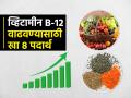 थकल्यासारखं वाटतं, अशक्तपणा आलाय? व्हिटामीन B-12 साठी खा ८ पदार्थ, ताकद येईल भरपूर - Marathi News | Food for Vitamin B12 For Vegetarians : Top Best Vitamin B-12 For Vegetarian in India | Latest sakhi News at Lokmat.com