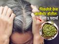 कपाळावरचे केस जास्तच पांढरे दिसून येतात? रोज ५ पदार्थ खा, डाय न लावता काळेभोर होतील केस - Marathi News | Foods For Hair Growth : Top Five Foods for Hair Growth What to eat for hair growth | Latest sakhi Photos at Lokmat.com