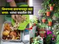 किचनमधल्या कचऱ्यापासून बनवा शुद्ध खत; खर्च न करता रोपं भराभर वाढतील-फुलंही येतील पटापट - Marathi News | How to make Pure Fertilizer Kitchen Waste Without Any Expense gardening Tips in Marathi | Latest sakhi News at Lokmat.com