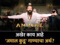 इंटरनेट सेनसेशन बनलं 'अ‍ॅनिमल'मधील 'जमाल कुडू'; पण गाण्याचा अर्थ काय रे भाऊ? - Marathi News | Bobby Deol’s Animal entry song ‘Jamal Kudu’: Origin, meaning and lyrics of the internet sensation | Latest filmy News at Lokmat.com