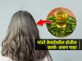 ऐन विशीतच केस पांढरे झाले? मुठभर कडिपत्त्याचा हा उपाय लगेच करा- केस होतील काळे  - Marathi News | Home remedies that helps to turn gray or white hair black, How to get rid of gray hair, 1 amazing solution for gray hair problem, Use of curry leaves for gray hair  | Latest sakhi News at Lokmat.com