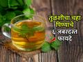 हिवाळा असो की पावसाळा, सर्दी- खोकला होणारच नाही, प्या तुळशीचा चहा- ६ जबरदस्त फायदे - Marathi News | Amazing benefits of having tulsi tea or tulsi kadha daily, 1 simple solution to get rid of cold and cough, How to make Indian basil tea? | Latest sakhi News at Lokmat.com