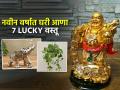 नवीन वर्ष सुरु होण्यापूर्वी घरी आणा ७ शुभ वस्तू, वर्षभर घर राहील प्रसन्न, वाटेल पॉझिटिव्ह - Marathi News | Seven Things That Will Bring Good Luck to Your Home : Bring These Seven Lucky Things Home Before The New Year | Latest sakhi Photos at Lokmat.com