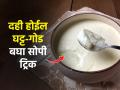 थंडीमुळे दही खूपच पातळ होतं? बघा १ सोपा उपाय- दही होईल घट्ट आणि चवदार - Marathi News | How to set very thick curd at home? How to make curd, 1 simple trick for setting very thick curd in winter, how to set curd in few hours in winter? | Latest sakhi News at Lokmat.com