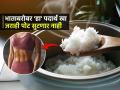 रात्री पोटभर भात खाल्ला तरी पोट सुटणार नाही, भातासोबत खा ‘हा’ पदार्थ, पारंपरिक सोपा उपाय - Marathi News | Best Way to Eat Rice For Weight Loss : Curd Rice For Weight Loss And Acidity | Latest sakhi News at Lokmat.com
