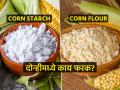 कॉर्न स्टार्च आणि कॉर्न फ्लोअर यात नेमका काय फरक? पदार्थ बिघडेल- पाहा काय वापरायचं? - Marathi News | What is the difference between corn flour and corn starch in Marathi | Latest sakhi News at Lokmat.com