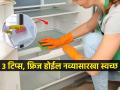 फ्रिज आतून कितीही पुसला तरी पिवळे डाग जात नाहीत? ३ टिप्स - फ्रिज चमकेल नव्यासारखा - Marathi News | These Tips Will Make Cleaning The Fridge Easy | Latest sakhi News at Lokmat.com
