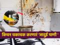 फक्त २ पदार्थ वापरा- गॅस शेगडीपासून ते तेलकट टाईल्सपर्यंत सगळं स्वयंपाकघर होईल चकाचक - Marathi News | Just 2 ingredients to clean your kitchen, How to clean oily greesy stains on kitchen tiles, how to clean gas stove? Homemade multipurpose liquid to clean your kitchen in marathi | Latest sakhi News at Lokmat.com