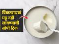 थंडीतही १५ मिनिटांत घरीच करा विकतसारखं घट्ट दही; ३ ट्रिक्स- गोड, कवडीदार दही तयार - Marathi News | How to Make Thick Curd In Winter : Useful Tips to Set Curd at Home How to Make Dahi at Home | Latest sakhi News at Lokmat.com