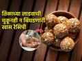 संक्रातीला केलेले तिळाचे लाडू महिनाभर टिकतील, घ्या कपभर तिळाची सोपी रेसिपी-कडकही होणार नाहीत - Marathi News | Til Ladoo Recipe - Homemade Til Gud Ke Laddu | Latest sakhi News at Lokmat.com