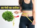 खा मेथी व्हा बारीक! हिवाळ्यात मेथी खा भरपूर - पोट होईल कमी आणि वजनही उतरेल - Marathi News | Methi For Weight Loss: How To Use Fenugreek Leaves To Burn Belly Fat | Latest sakhi News at Lokmat.com
